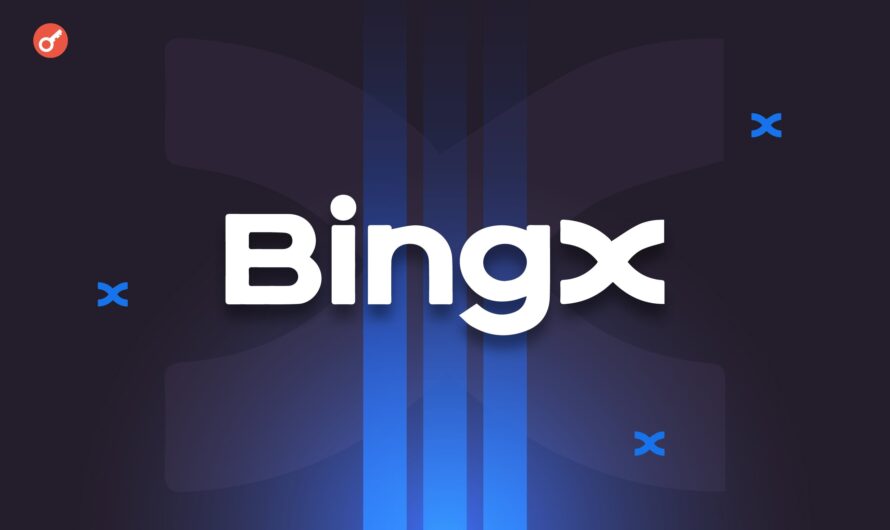 В BingX подвели итоги 2024 года