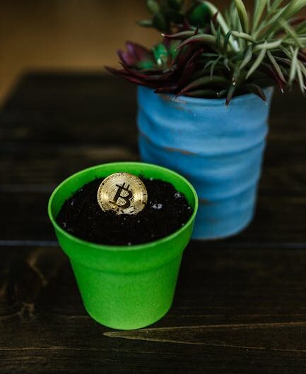 Вывод денег с CoinEx на карту Мострансбанка без комиссии