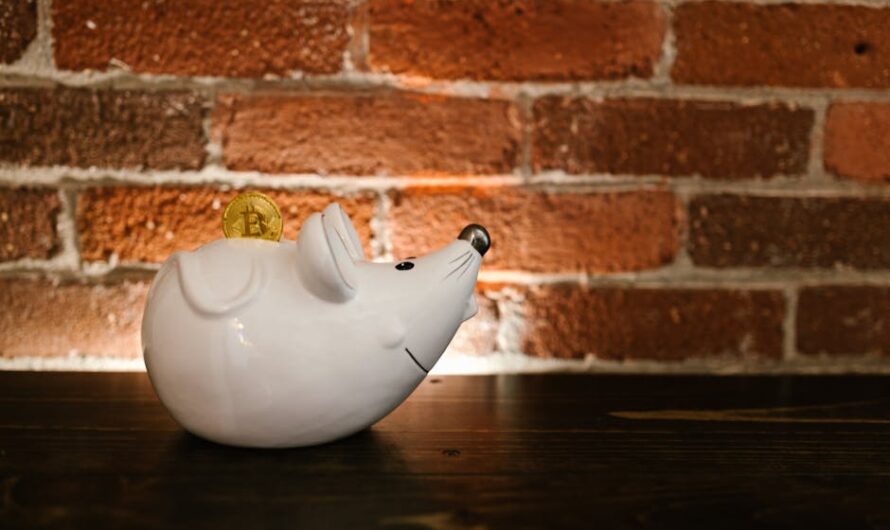 Выбор пула для майнинга на CoinEx Mining