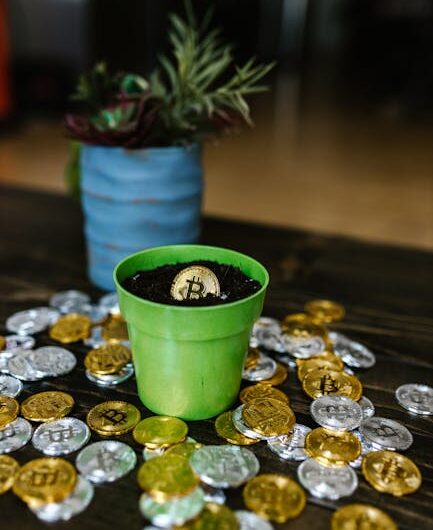 Пассивный доход на CoinEx: возможности и стратегии заработка