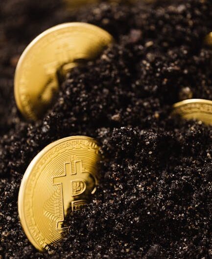 Верификация ID на CoinEx: необходимые документы и процесс подачи