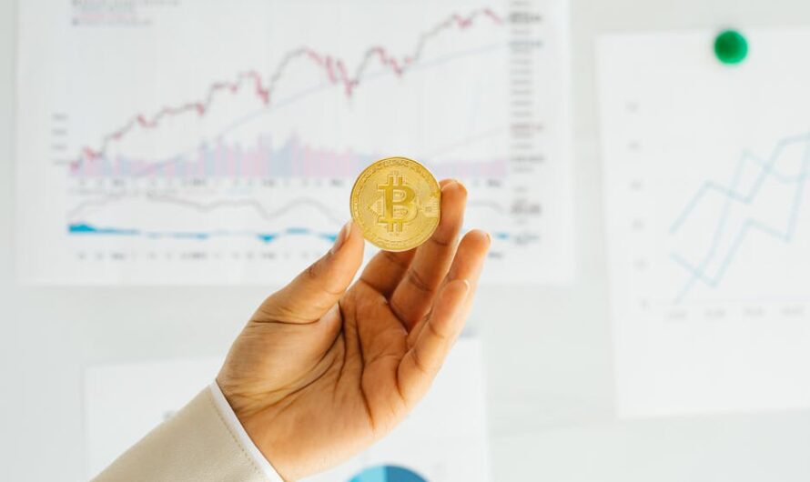 Анализ рыночных трендов на CoinEx для долгосрочных инвестиций