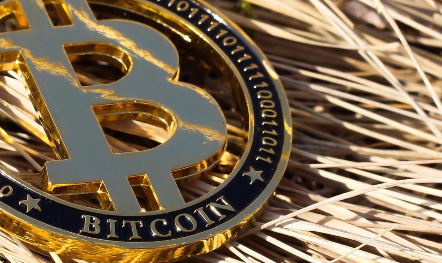 Использование CoinEx API Key для торговли криптовалютами