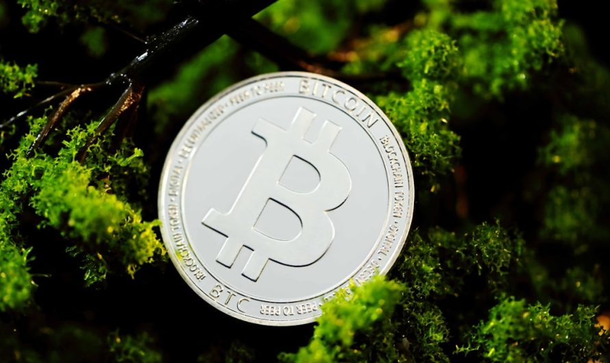 Обзор криптовалютной биржи CoinEx