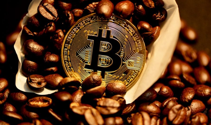 Комиссии на Бирже CoinEx Виды Размер и Способы Минимизации