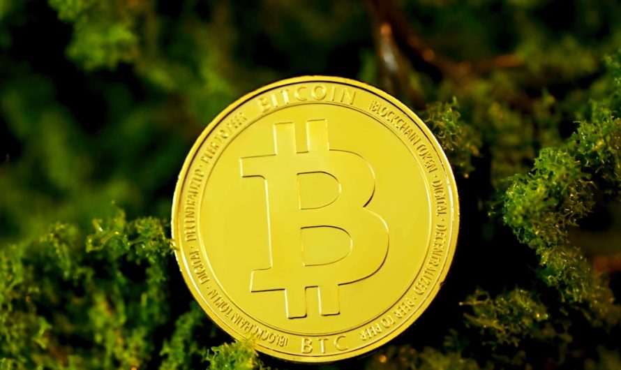 Вывод Средств с CoinEx Комиссии и Практические Советы