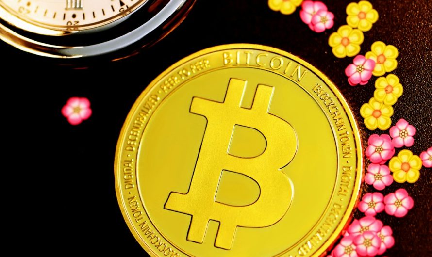 Обзор криптовалютной биржи CoinEx