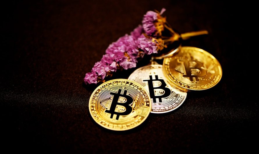 Вывод средств на CoinEx инструкция и советы