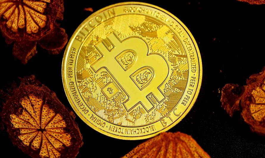 Обзор криптовалютной биржи CoinEx: отзывы, преимущества и недостатки