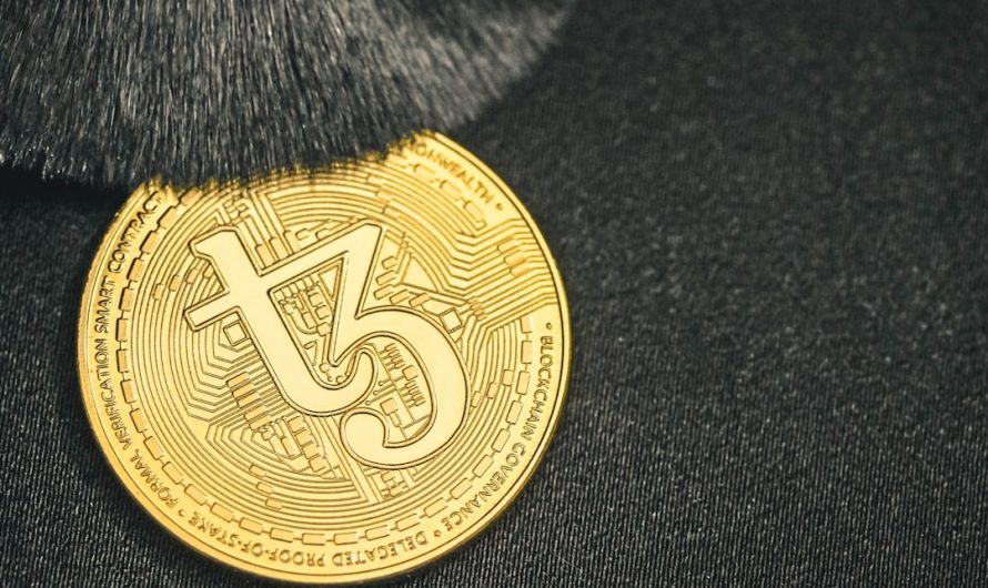 Торговля на криптовалютной бирже CoinEx